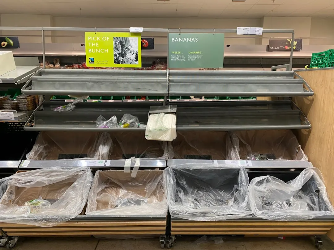 淮安神龙太虚科技电蚊拍与灭蚊灯产品技术参数横向评测